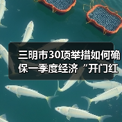 三明市30项举措如何确保一季度经济“开门红”?(图4) 三明市30项举措如何确保一季度经济“开门红”?(图4)