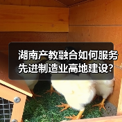 湖南产教融合如何服务先进制造业高地建设?政策解读来了(图1) 湖南产教融合如何服务先进制造业高地建设?政策解读来了(图1)