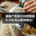 湖南产教融合如何服务先进制造业高地建设?政策解读来了(图2) 湖南产教融合如何服务先进制造业高地建设?政策解读来了(图2)