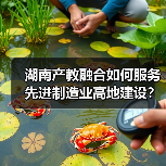 湖南产教融合如何服务先进制造业高地建设?政策解读来了(图4) 湖南产教融合如何服务先进制造业高地建设?政策解读来了(图4)
