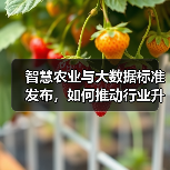 智慧农业与大数据标准发布,如何推动行业升级?(图1) 智慧农业与大数据标准发布,如何推动行业升级?(图1)