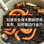 智慧农业与大数据标准发布,如何推动行业升级?(图4) 智慧农业与大数据标准发布,如何推动行业升级?(图4)