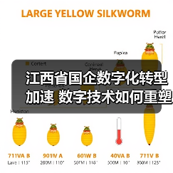 江西省国企数字化转型加速 数字技术如何重塑产业未来?(图1) 江西省国企数字化转型加速 数字技术如何重塑产业未来?(图1)