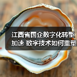江西省国企数字化转型加速 数字技术如何重塑产业未来?(图3) 江西省国企数字化转型加速 数字技术如何重塑产业未来?(图3)