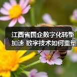 江西省国企数字化转型加速 数字技术如何重塑产业未来?(图4) 江西省国企数字化转型加速 数字技术如何重塑产业未来?(图4)