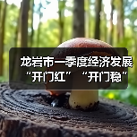 龙岩市一季度经济发展“开门红”“开门稳”如何实现?解读32条关键措施(图2) 龙岩市一季度经济发展“开门红”“开门稳”如何实现?解读32条关键措施(图2)