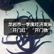 龙岩市一季度经济发展“开门红”“开门稳”如何实现?解读32条关键措施(图3) 龙岩市一季度经济发展“开门红”“开门稳”如何实现?解读32条关键措施(图3)