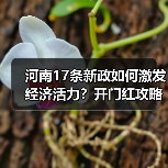 河南17条新政如何激发经济活力?开门红攻略来了(图2) 河南17条新政如何激发经济活力?开门红攻略来了(图2)