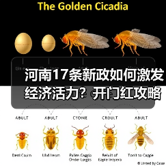 河南17条新政如何激发经济活力?开门红攻略来了(图4) 河南17条新政如何激发经济活力?开门红攻略来了(图4)