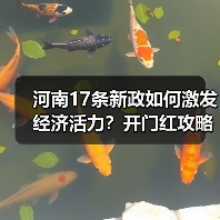 河南17条新政如何激发经济活力?开门红攻略来了(图3) 河南17条新政如何激发经济活力?开门红攻略来了(图3)