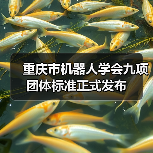 重庆市机器人学会九项团体标准正式发布（图3）