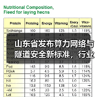 山东省发布算力网络与隧道安全新标准，行业如何应对？（图3）