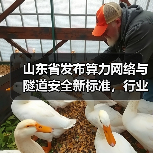 山东省发布算力网络与隧道安全新标准，行业如何应对？（图4）