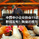 中国中小企业协会15项新规发布！陶瓷岩板与混凝土施工标准全面升级（图2）