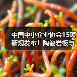 中国中小企业协会15项新规发布！陶瓷岩板与混凝土施工标准全面升级（图3）