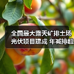 全国最大露天矿排土场光伏项目建成 年减排超37万吨（图4）