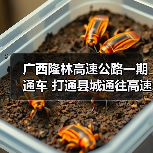 广西隆林高速公路一期通车 打通县城通往高速 广西隆林高速公路一期通车 打通县城通往高速