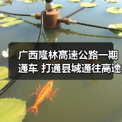 广西隆林高速公路一期通车 打通县城通往高速 广西隆林高速公路一期通车 打通县城通往高速