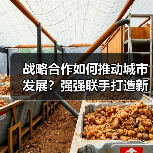 战略合作如何推动城市发展？强强联手打造新标杆（图2）