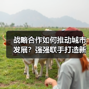 战略合作如何推动城市发展？强强联手打造新标杆（图4）