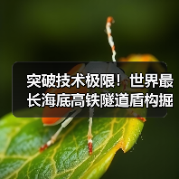 突破技术极限！世界最长海底高铁隧道盾构掘进创奇迹（图1）
