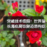 突破技术极限！世界最长海底高铁隧道盾构掘进创奇迹（图3）