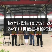 软件业增长10.7%!2024年11月数据揭秘行业趋势(图3) 软件业增长10.7%!2024年11月数据揭秘行业趋势(图3)