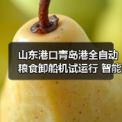 山东港口青岛港全自动粮食卸船机试运行 智能化升级引关注（图2）
