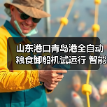 山东港口青岛港全自动粮食卸船机试运行 智能化升级引关注（图3）