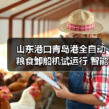 山东港口青岛港全自动粮食卸船机试运行 智能化升级引关注（图4）