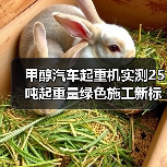 甲醇汽车起重机实测25吨起重量绿色施工新标杆（图1）
