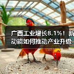 广西工业增长8.1%！新动能如何推动产业升级？（图2）