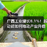 广西工业增长8.1%！新动能如何推动产业升级？（图3）