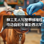 柳工无人驾驶甲醇增程电动自卸车首赴西北矿区，引领绿色智慧矿山新趋势（图3）
