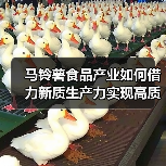 马铃薯食品产业如何借力新质生产力实现高质量发展(图1) 马铃薯食品产业如何借力新质生产力实现高质量发展(图1)