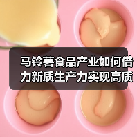 马铃薯食品产业如何借力新质生产力实现高质量发展(图3) 马铃薯食品产业如何借力新质生产力实现高质量发展(图3)