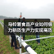 马铃薯食品产业如何借力新质生产力实现高质量发展(图4) 马铃薯食品产业如何借力新质生产力实现高质量发展(图4)