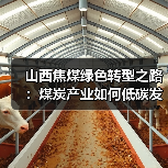 山西焦煤绿色转型之路：煤炭产业如何低碳发展？（图3）