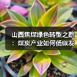 山西焦煤绿色转型之路：煤炭产业如何低碳发展？（图4）