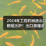 2024年工程机械进出口数据出炉!出口激增进口却下滑?(图3) 2024年工程机械进出口数据出炉!出口激增进口却下滑?(图3)