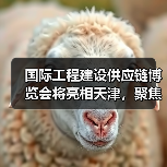 国际工程建设供应链博览会将亮相天津,聚焦绿色低碳创新(图4) 国际工程建设供应链博览会将亮相天津,聚焦绿色低碳创新(图4)