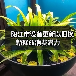 阳江市设备更新以旧换新释放消费潜力（图2）