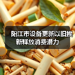 阳江市设备更新以旧换新释放消费潜力