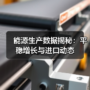 能源生产数据揭秘：平稳增长与进口动态（图3）