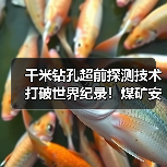 千米钻孔超前探测技术打破世界纪录!煤矿安全掘进新突破(图4) 千米钻孔超前探测技术打破世界纪录!煤矿安全掘进新突破(图4)
