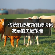 传统能源与新能源协同发展的关键策略(图1) 传统能源与新能源协同发展的关键策略(图1)