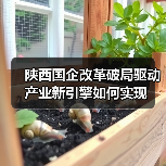 陕西国企改革破局驱动产业新引擎如何实现(图3) 陕西国企改革破局驱动产业新引擎如何实现(图3)