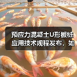 预应力混凝土U形板桩应用技术规程发布，如何规范水利工程设计施工？
