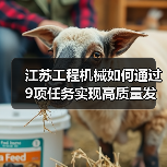 江苏工程机械如何通过9项任务实现高质量发展?(图3) 江苏工程机械如何通过9项任务实现高质量发展?(图3)