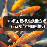 18项工程标准获批立项，行业规范性如何提升？（图2）
